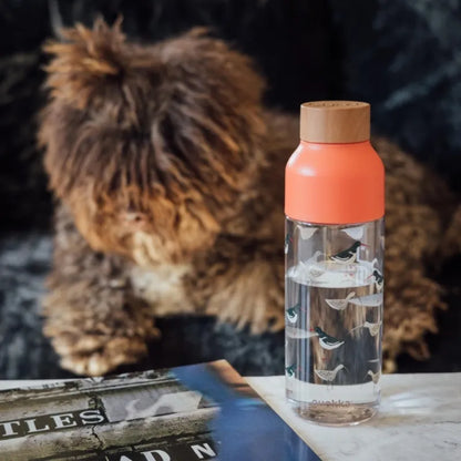 Quokka Ice – Ecozen gertuvė 720 ml (Birds)